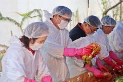 파장동 사랑의 김장 나눔 행사5번 사진